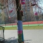 Foto do akcji "Ubierz drzewo na wiosnę"